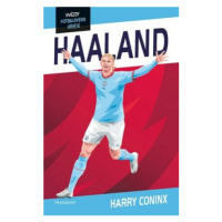 Hvězdy fotbalového hřiště Haaland - Harry Coninx