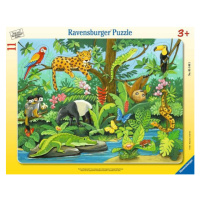 Ravensburger vkládačka zvířátka z deštného pralesa 11 dílků