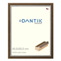 DANTIK rámeček 40 × 50, TAIGA sv.hnědý sklo čiré