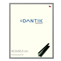 DANTIK rámeček 40 × 50, ALU profil 7002 Šedý leský sklo čiré