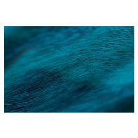 Fotografie Close up of the ripples and weave on cloth, Emma Walsh, 40x26.7 cm