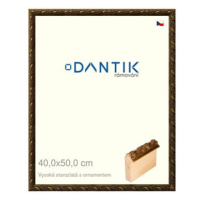 DANTIK rámeček 40 × 50, Vysoký starozlatý s ornamentem sklo čiré