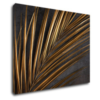 Impresi Obraz Zlatá palma - 90 x 70 cm
