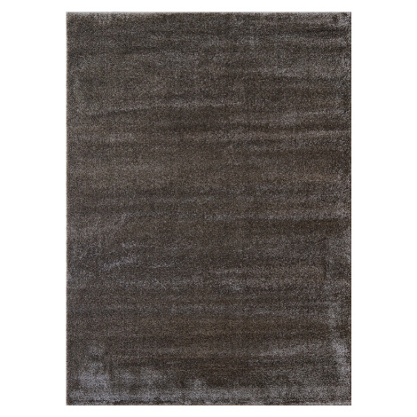 Berfin Dywany AKCE: 200x290 cm Kusový koberec Toscana 0100 Brown - 200x290 cm