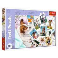 TREFL - Puzzle 300 - Fotky z dovolené