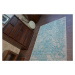 Dywany Lusczow Kusový koberec VINTAGE 22208/054