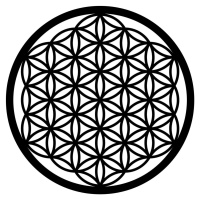 Wallity Nástěnná kovová dekorace FLOWER OF LIFE černá