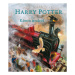 Harry Potter a Kámen mudrců - ilustrované vydání ALBATROS