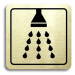 Accept Piktogram "sprcha" (80 × 80 mm) (zlatá tabulka - černý tisk)