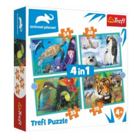 Trefl Puzzle 4v1 Planeta zvířat 28,5x20,5cm v krabici 28x28x6cm