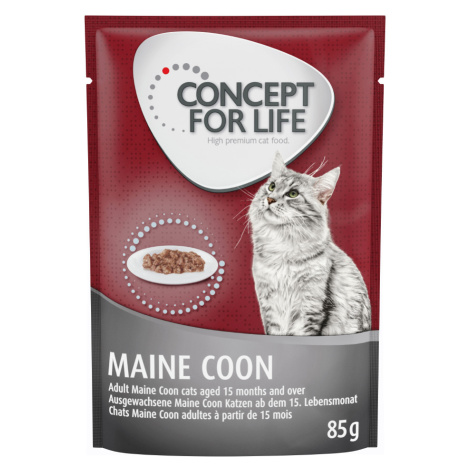 Concept for Life Maine Coon Adult (ragú) - 48 x 85 g