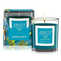 AREON Scented Candle Under the Mystic Tree 120 g