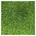 Travní koberec Bermuda zelená 133 x 200 cm