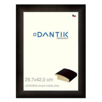 DANTIK rámeček 29,7 × 42, LEDVINKA tmavě hnědý plexi čiré