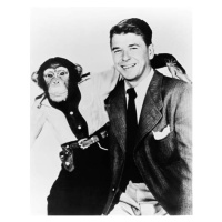 Fotografie Ronald Reagan And Bonzo, Hollywood, California, 1951, 30 × 40 cm