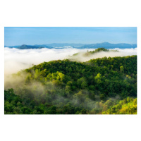 Fotografie Beautiful mist over green forest on mountain., NirutiStock, 40x26.7 cm