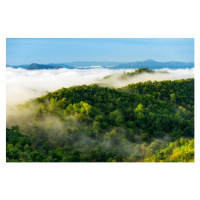 Fotografie Beautiful mist over green forest on mountain., NirutiStock, 40 × 26.7 cm