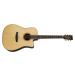 Tanglewood TJ 5 CE