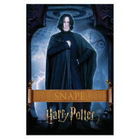 Umělecký tisk Harry Potter - Snape, 26.7 × 40 cm