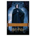 Umělecký tisk Harry Potter - Snape, 26.7 × 40 cm