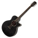 Tanglewood TWBB SFCE Smokestack Black Elektroakustická kytara Jumbo