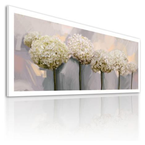 Obraz na plátně HORTENZIE bílé květy B různé rozměry Ludesign ludesign obrazy: 120x50 cm
