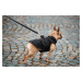 Vsepropejska Tulsi zimní bunda pro psa s postrojem Barva: Černá, Délka zad (cm): 37, Obvod hrudn