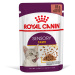 Royal Canin Sensory Taste v omáčce - 48 x 85 g