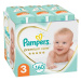 PAMPERS Premium Care 3 pleny (160 ks), 6-10 kg