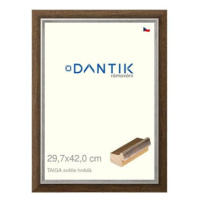 DANTIK rámeček 29,7 × 42, TAIGA sv.hnědý plexi čiré