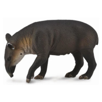 Collecta tapír