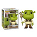 Funko POP! Shrek Shrek 1594