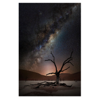 Fotografie Namibia Stars, Marcel Egger, 26.7 × 40 cm