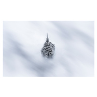 Fotografie Shanghai Jinmao Tower in Clouds, Ran Shen, (40 x 24.6 cm)