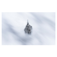 Fotografie Shanghai Jinmao Tower in Clouds, Ran Shen, 40 × 24.5 cm