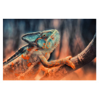 Fotografie chameleon, Detlef Knapp, 40 × 26.7 cm