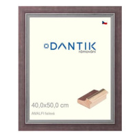 DANTIK rámeček 40 × 50, AMALFI fialový plexi čiré