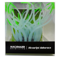 Macenauer Dekorace Sea Anemone zelená/růžová