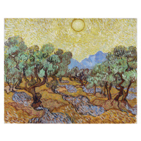 Obrazová reprodukce Olive Trees (1889), Vincent van Gogh, 40 × 30 cm