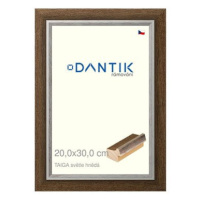 DANTIK rámeček 20 × 30, TAIGA sv.hnědý sklo čiré