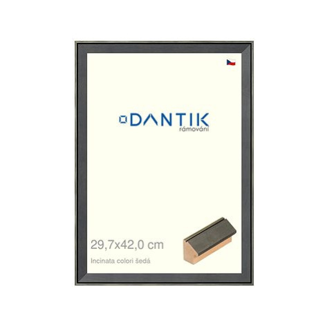 DANTIK rámeček 29,7 × 42, INCLINATA colori šedý plexi čiré