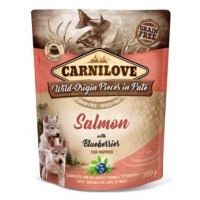 Carnilove Dog Pouch paté salmon & blueber puppies 300g