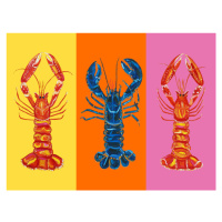 Ilustrace Lobster Langoustines Pop Art 3, Alice Straker, 40x30 cm