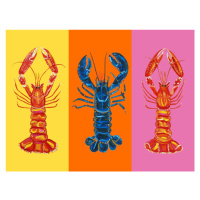 Ilustrace Lobster Langoustines Pop Art 3, Alice Straker, 40 × 30 cm