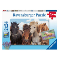 Fotky koní 2x24 dílků Ravensburger