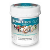 BIOARTHRO GEL Biomedica 300 ml