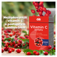 GS Vitamin C1000 se šípky tbl.100+20