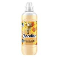 COCCOLINO Orange Rush 975 ml (39 praní)