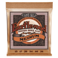 Ernie Ball 2144 Earthwood Phosphor Bronze Medium