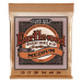 Ernie Ball 2144 Earthwood Phosphor Bronze Medium